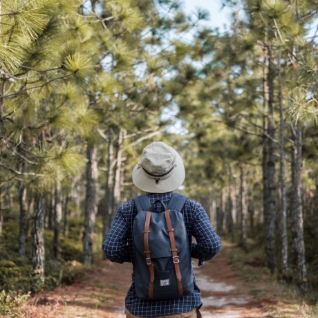 persona di spalle che cammina tra gli alberi